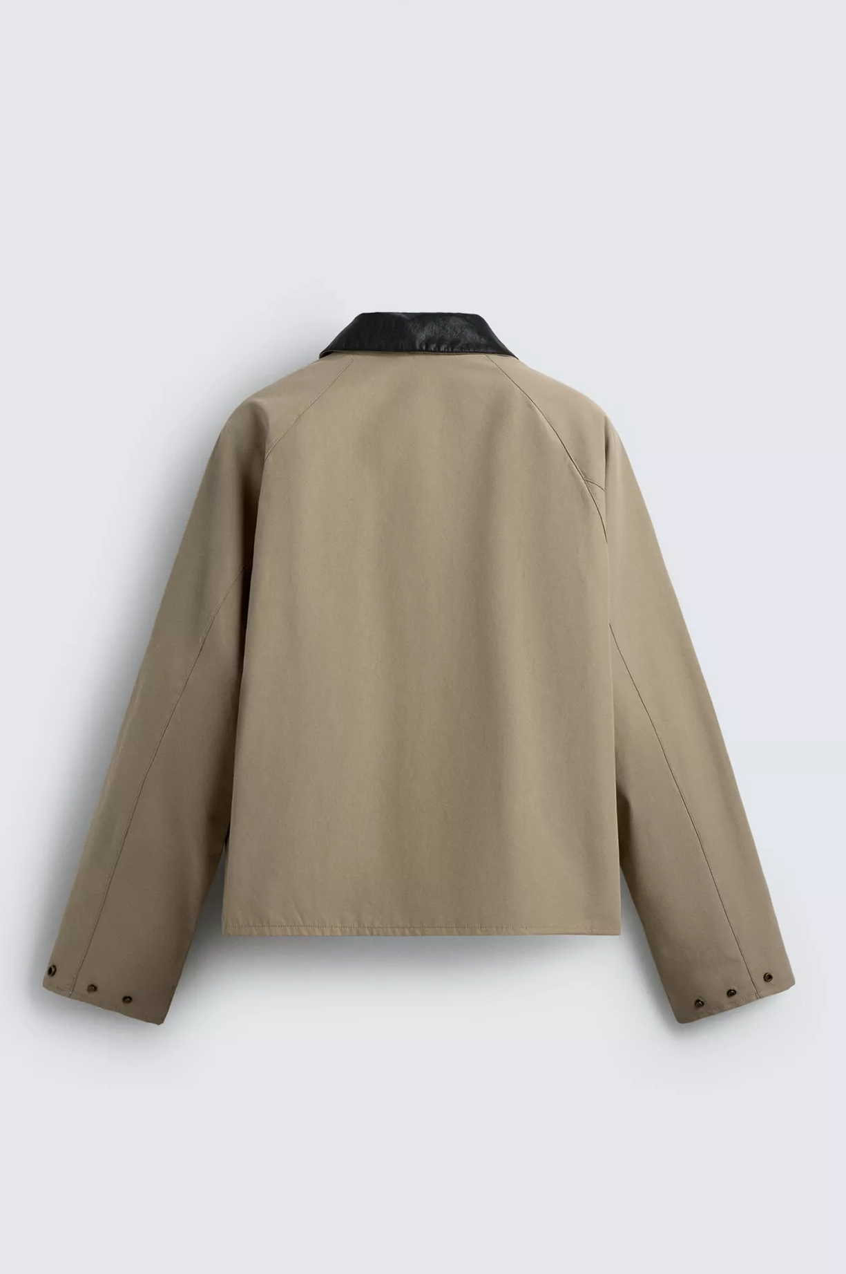 Contrast collar jacket — back view