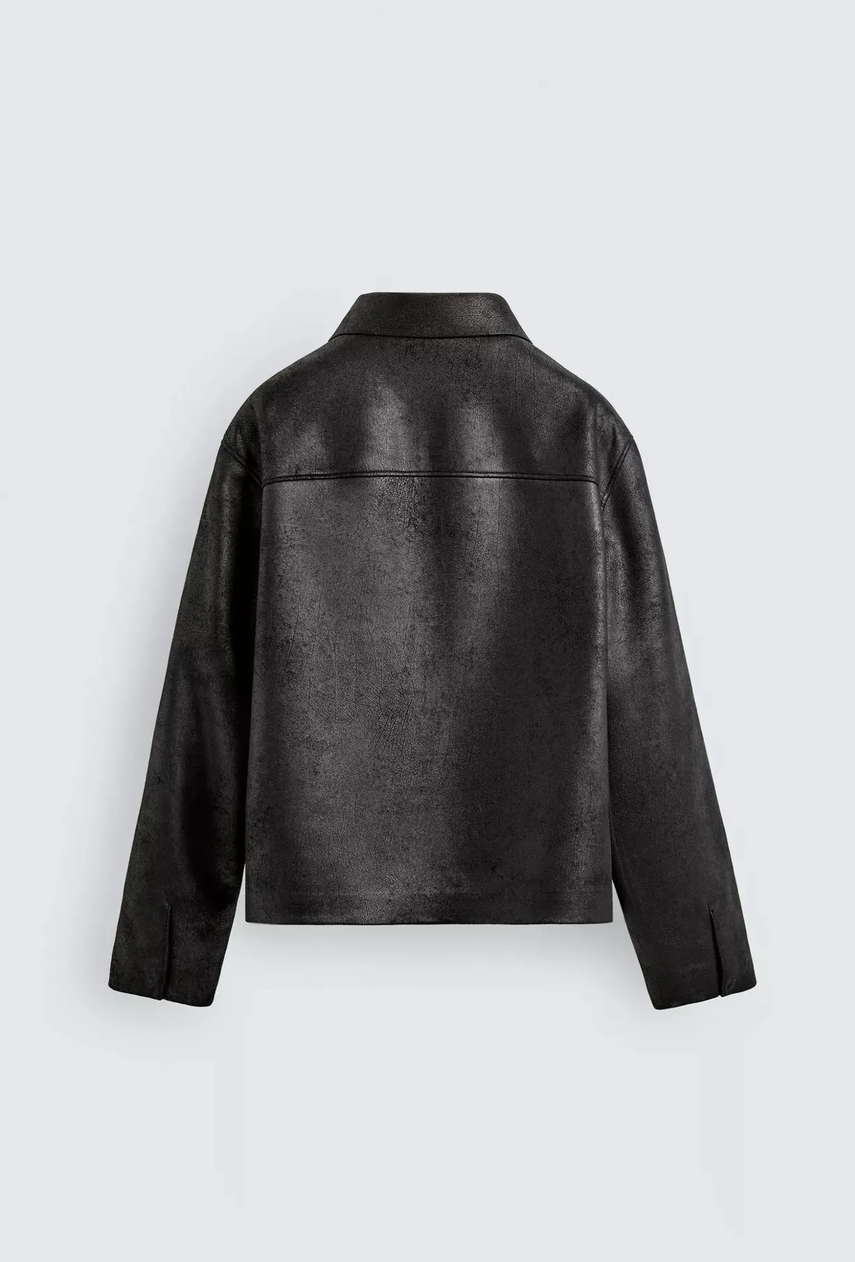Clean Line Leather Jacket — back view