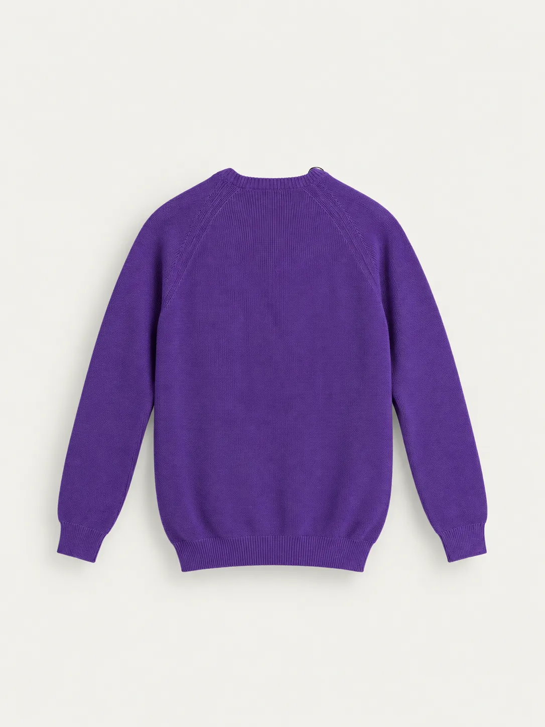 Raglan Knit Crewneck Sweater — back view